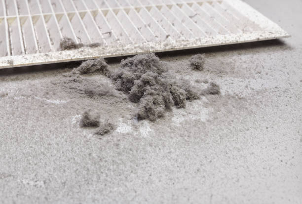 Best Local Air Duct Cleaning Services  in Maxton, NC